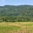  Land for sale in Jonggol, Bogor, Jonggol