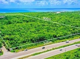  Grundstück zu verkaufen in Cozumel, Quintana Roo, Cozumel