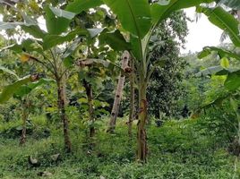  Tanah for sale in Pengasih, Kulon Progo, Pengasih