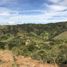  Land for sale in Guarne, Antioquia, Guarne