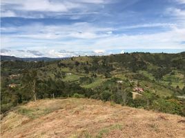  Terreno (Parcela) en venta en Guarne, Antioquia, Guarne