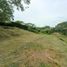  Land for sale in Caldas, Manizales, Caldas