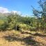  Land for sale in Punilla, Cordoba, Punilla