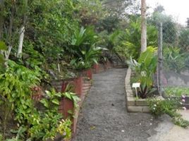  Terreno (Parcela) en venta en Jose Azueta, Guerrero, Jose Azueta