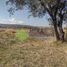  Land for sale in Tarimbaro, Michoacan, Tarimbaro