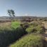  Land for sale in Tarimbaro, Michoacan, Tarimbaro