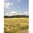 1 Bedroom Villa for sale in Guaduas, Cundinamarca, Guaduas