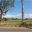  Land for sale in Prambanan, Klaten, Prambanan