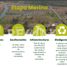  Terreno (Parcela) en venta en Hueyapan De Ocampo, Veracruz, Hueyapan De Ocampo
