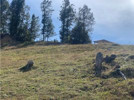 2 Habitación Villa en venta en Ubala, Cundinamarca, Ubala