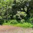  Land for sale in Tlayacapan, Morelos, Tlayacapan