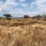  Land for sale in Tlayacapan, Morelos, Tlayacapan