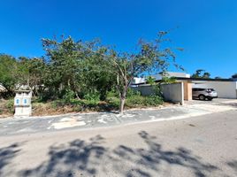  Terreno (Parcela) en venta en Conkal, Yucatán, Conkal