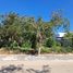  Terreno (Parcela) en venta en Conkal, Yucatán, Conkal