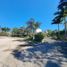  Terreno (Parcela) en venta en Conkal, Yucatán, Conkal