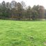  Land for sale in Chile, Purranque, Osorno, Los Lagos, Chile