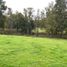  Land for sale in Chile, Purranque, Osorno, Los Lagos, Chile