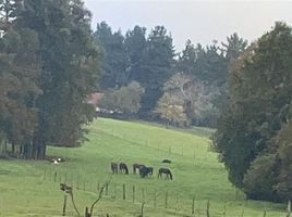  Land for sale in Chile, Purranque, Osorno, Los Lagos, Chile