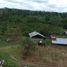  Land for sale in Santo Domingo De Los Colorados, Santo Domingo De Los Tsachilas, Santo Domingo De Los Colorados, Santo Domingo, Santo Domingo De Los Tsachilas