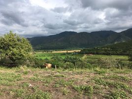  Land for sale in Altamira, Huila, Altamira