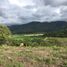  Land for sale in Altamira Huila, Altamira