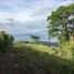  Land for sale in Altamira, Huila, Altamira