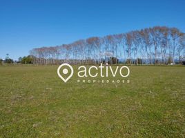  Land for sale in Los Rios, Paillaco, Valdivia, Los Rios