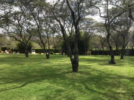  Terreno (Parcela) en venta en Tumbaco, Pichincha, Tumbaco