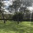  Terreno (Parcela) en venta en Tumbaco, Pichincha, Tumbaco