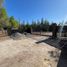  Terreno (Parcela) en venta en Chile, Molina, Curicó, Maule, Chile