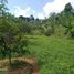  Land for sale in Bogor, West Jawa, Bogor Selatan, Bogor