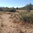  Land for sale in Chile, Curico, Curico, Maule, Chile