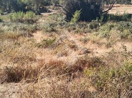  Land for sale in Chile, Curico, Curico, Maule, Chile