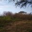  Land for sale in Atoyac, Jalisco, Atoyac