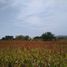  Land for sale in Atoyac, Jalisco, Atoyac