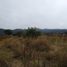  Land for sale in Atoyac, Jalisco, Atoyac
