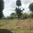  Land for sale in Huitzilac, Morelos, Huitzilac