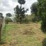  Land for sale in Huitzilac, Morelos, Huitzilac