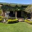 7 Schlafzimmer Haus zu vermieten in Cuernavaca, Morelos, Cuernavaca, Morelos