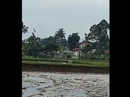  Land for sale in Sukabumi, West Jawa, Sukabumi, Sukabumi