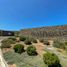  토지을(를) Nogales, Quillota에서 판매합니다., Nogales