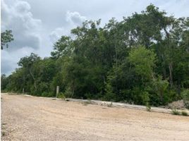  Grundstück zu verkaufen in Cozumel, Quintana Roo, Cozumel