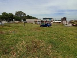  Land for sale in Atenco, Mexico, Atenco