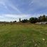  Land for sale in Atenco, Mexico, Atenco