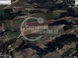 Estudio Casa en venta en Cardenal Caro, Libertador General Bernardo O'Higgins, Navidad, Cardenal Caro