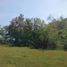  Land for sale in Santo Tomas, Ilocos, Santo Tomas