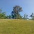  Land for sale in La Union, Ilocos, Santo Tomas, La Union