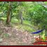  Land for sale in Selemadeg, Tabanan, Selemadeg