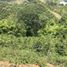 Terrain à vendre à Santa Rosa De Cabal, Risaralda, Santa Rosa De Cabal, Risaralda