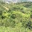 Terrain à vendre à Santa Rosa De Cabal, Risaralda, Santa Rosa De Cabal, Risaralda